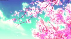 a tree with pink flowers in front of a blue sky