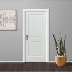 an empty room with a potted plant in the corner and a white door on the wall