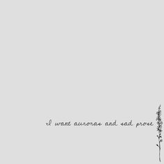 the words are written in black and white on a light gray background with a plant