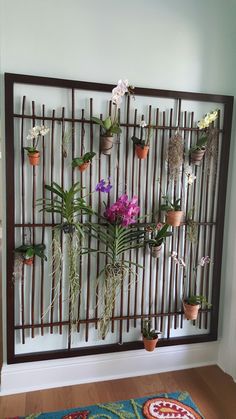 a wall mounted planter filled with potted plants on top of a wooden floor