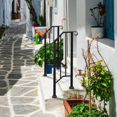 an alley way with potted plants on either side and blue door in the background