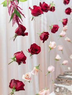 red and white flowers are hanging from the ceiling