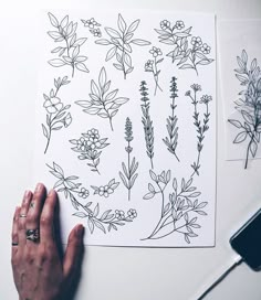 someone is drawing flowers and plants on paper