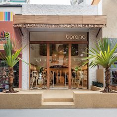 a store front with two palm trees outside