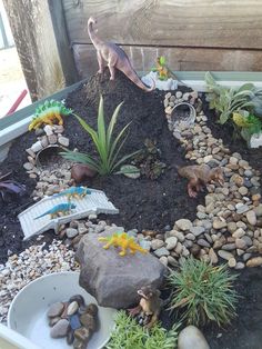 an assortment of rocks and plants in a garden with dinosaur figurines on top