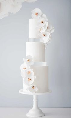 a three tiered cake with white flowers on top