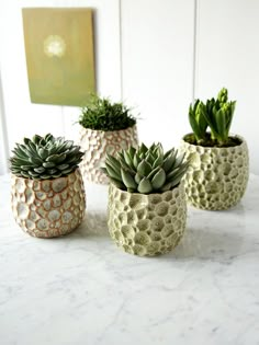 three different types of succulents in ceramic pots on a marble countertop