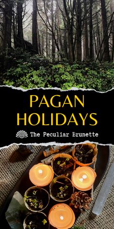 the cover of pagan holidays, featuring candles and potted plants on a plate