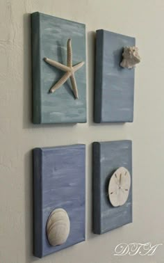 three seashells and two starfish are mounted on the wall