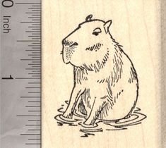 a rubber stamp with a drawing of a capybara sitting in the water on it's side