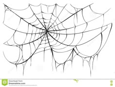 a spider web with drops of water on it's surface royalty photo - illustration