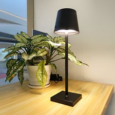 a lamp on a table next to a potted plant