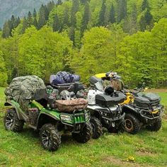 four atvs are parked on the grass in front of some mountains and trees with backpacks on them