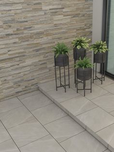 three potted plants sitting on top of a stone step next to a glass door