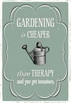 a sign that says gardening is cheaper than therapy and you get tomatoes on it