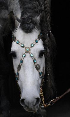 a white horse with braids on it's head