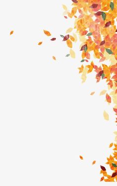 an image of fall leaves falling down on the white background with space for your text