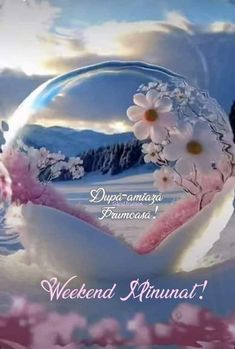 a snow globe with flowers in it and the words weekend rhumat written below