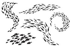 a large flock of fish swimming in the ocean, all forming a spiral pattern on white background