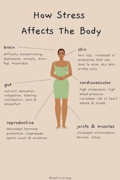 Stressful events cause changes in gene expression which can lead to an enormous number of problems. Stress itself can also create proteins which store in various organ systems of the body. Primary Care Doctor, Mental Health Facts, Feminine Health, Gene Expression, Hormone Health, Mental And Emotional Health, Holistic Wellness, Self Care Activities, Holistic Healing