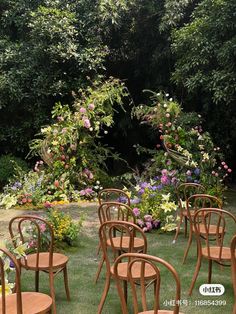 there are many chairs that are in the grass near some trees and flowers on the ground