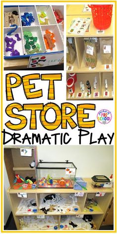 the pet store dramatic play includes toys, crafts and games to help kids learn how to use them