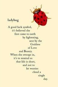 a ladybug poem is shown on a card