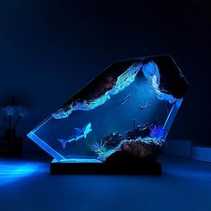 an aquarium with fish and other marine life in it's display case at night