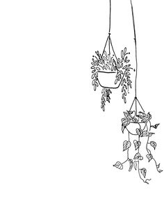 a drawing of some plants hanging from a plant hanger on a white wall,