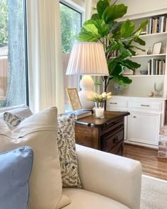 a living room filled with furniture and a large green plant on top of a table