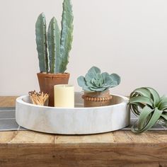 three succulents and two candles on a tray