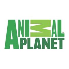 the logo for an animal planet with green and black letters on it, in front of a