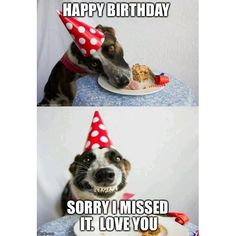 two pictures of a dog wearing a birthday hat and eating some food on a plate