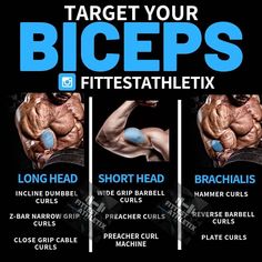 the benefits of bigger biceps and how to use them