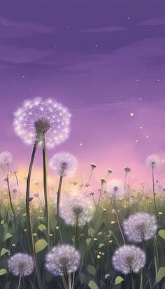 dandelions blowing in the wind on a purple sky