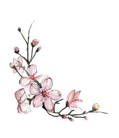 watercolor painting of pink flowers on white background