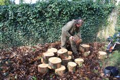 a man is picking up wood from the ground in front of some bushes and trees