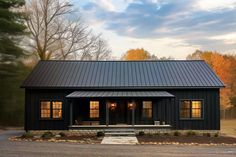 a black house with two windows and a metal roof