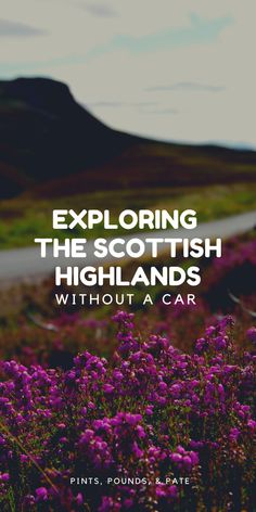 purple flowers with the words exploring the scottish highlands without a car in front of them