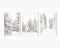 three pictures of trees in the snow with white frames on each side and one is black and white