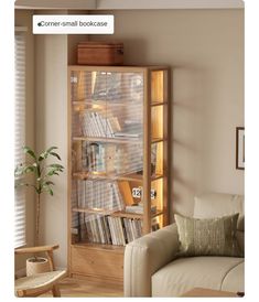 a living room filled with furniture and a book case