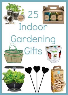 the 25 best indoor gardening gifts for gardener's and planters in their garden