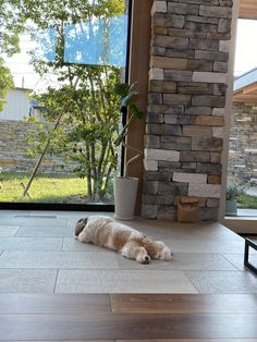 a dog laying on the floor in front of a stone wall and glass door with trees outside