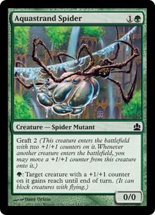 a card with a spider on it's back and the caption in english