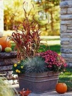 an image of a potted plant with flowers and pumpkins