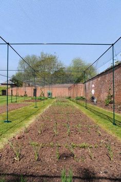 an outdoor vegetable garden with lots of plants growing in the ground and fenced off area