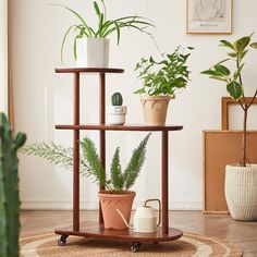 three tiered shelf with potted plants on it