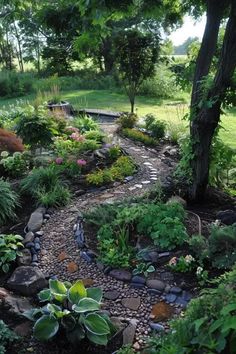 a garden with lots of rocks and plants