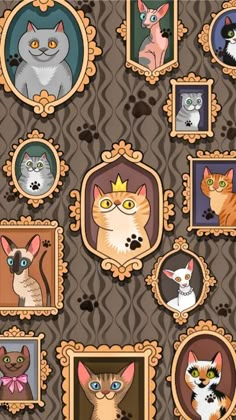 an image of many cats in frames on a brown wallpapered background with black and white cat prints