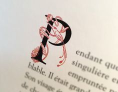 a close up of an open book with the letter p in red and black on it